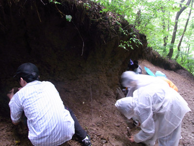 f:id:Naturalhistory:20110823145650j:image