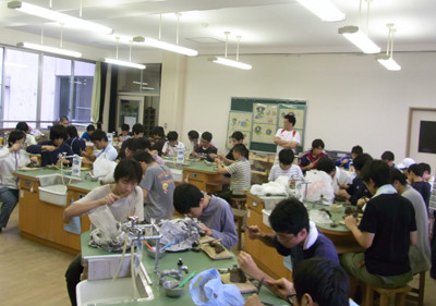f:id:Naturalhistory:20110823162544j:image
