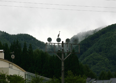 f:id:Naturalhistory:20110825153636j:image f:id:Naturalhistory:20110825153636j:image