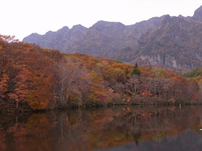 f:id:Naturalhistory:20111017102350j:image