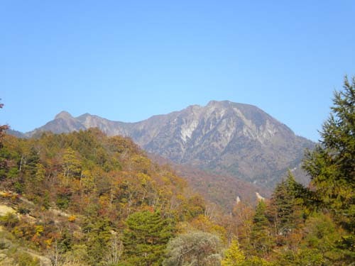 f:id:Naturalhistory:20111019141727j:image