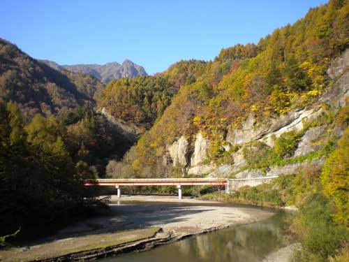 f:id:Naturalhistory:20111019143426j:image