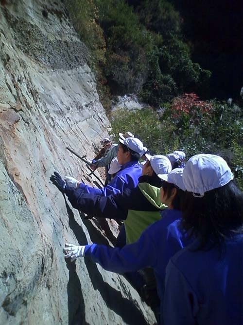 f:id:Naturalhistory:20111027094851j:image