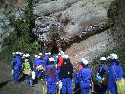 f:id:Naturalhistory:20111027105605j:image