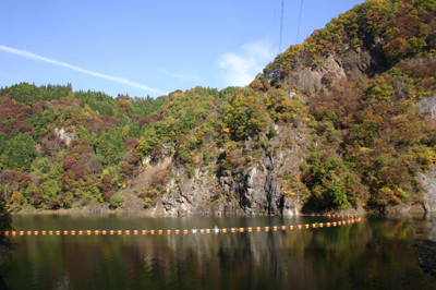 f:id:Naturalhistory:20111102100613j:image f:id:Naturalhistory:20111102100613j:image