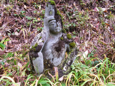 f:id:Naturalhistory:20111107130728j:image
