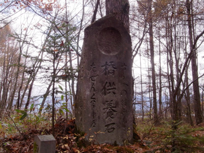 f:id:Naturalhistory:20111107140209j:image