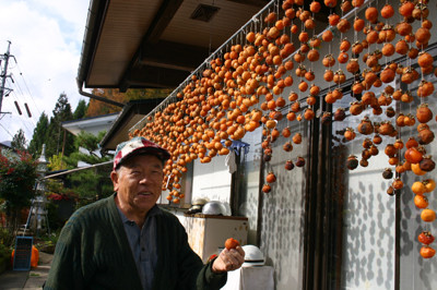 f:id:Naturalhistory:20111108110842j:image