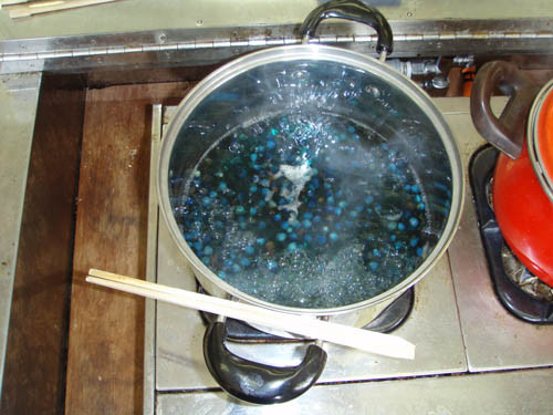 f:id:Naturalhistory:20111112095234j:image