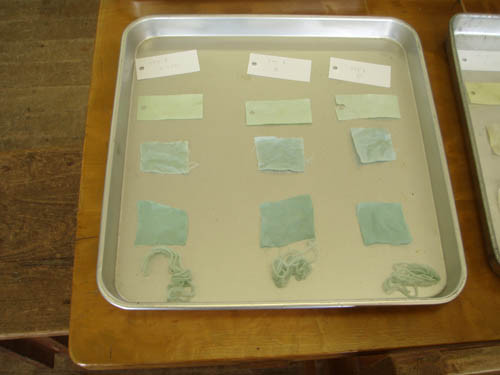 f:id:Naturalhistory:20111112114449j:image