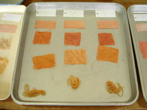 f:id:Naturalhistory:20111112115708j:image