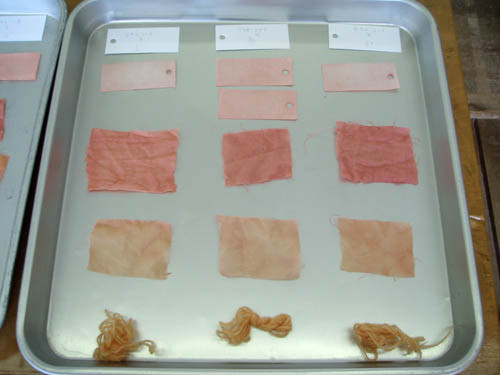 f:id:Naturalhistory:20111112115713j:image