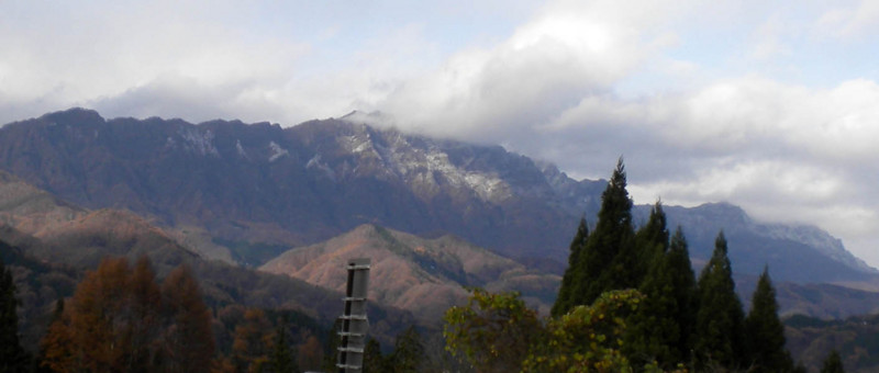 f:id:Naturalhistory:20111115163131j:image:w360