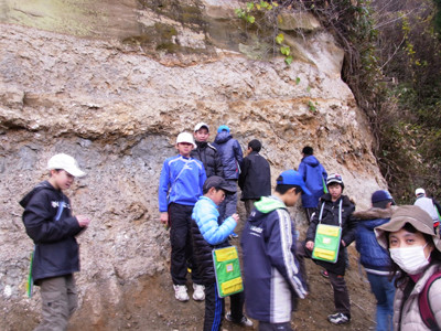 f:id:Naturalhistory:20111122125727j:image