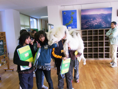 f:id:Naturalhistory:20111122151048j:image