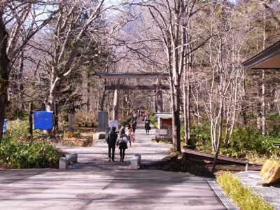 f:id:Naturalhistory:20111126131022j:image