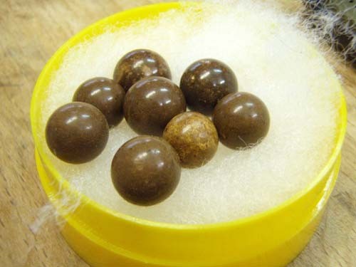 f:id:Naturalhistory:20111126163500j:image
