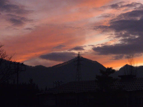 f:id:Naturalhistory:20111129165051j:image