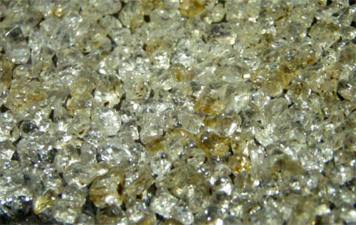 f:id:Naturalhistory:20111129165449j:image