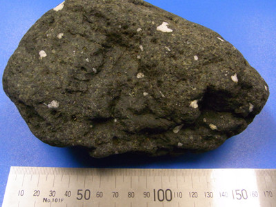 f:id:Naturalhistory:20111130164313j:image