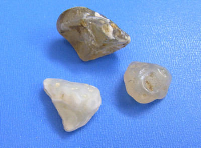 f:id:Naturalhistory:20111130165004j:image