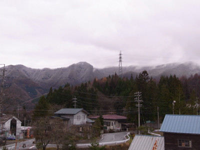f:id:Naturalhistory:20111201112357j:image f:id:Naturalhistory:20111201112357j:image