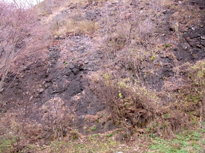 f:id:Naturalhistory:20111202114718j:image f:id:Naturalhistory:20111202114718j:image