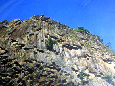f:id:Naturalhistory:20111202181431j:image f:id:Naturalhistory:20111202181431j:image