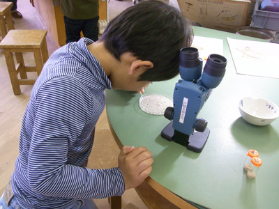 f:id:Naturalhistory:20111203142920j:image