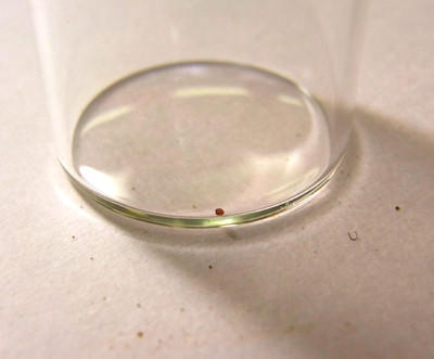 f:id:Naturalhistory:20111203143004j:image