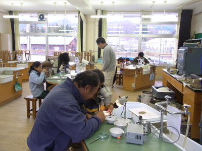 f:id:Naturalhistory:20111203143351j:image