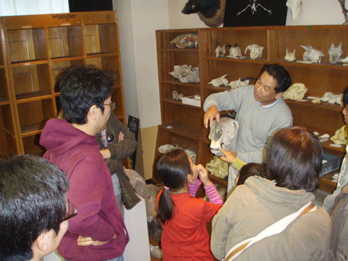 f:id:Naturalhistory:20111204145634j:image