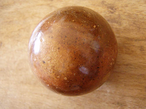 f:id:Naturalhistory:20111207111440j:image