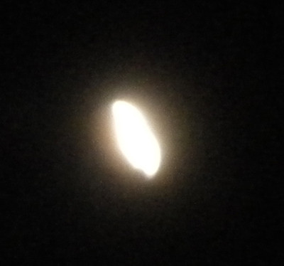 f:id:Naturalhistory:20111210223752j:image