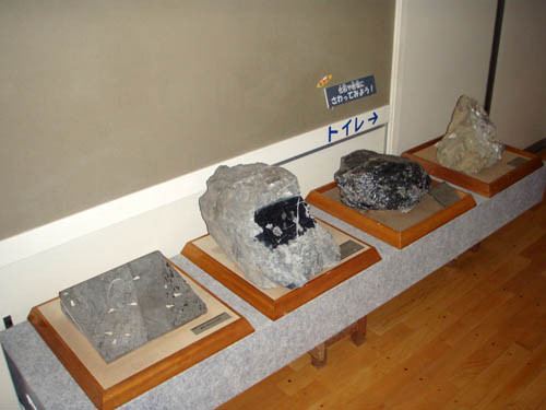 f:id:Naturalhistory:20111213164505j:image