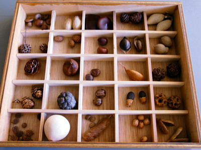 f:id:Naturalhistory:20111214155222j:image f:id:Naturalhistory:20111214155222j:image
