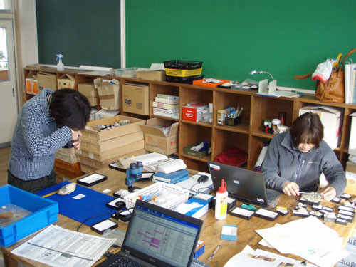 f:id:Naturalhistory:20111220141312j:image