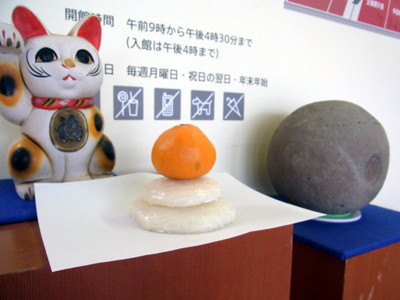 f:id:Naturalhistory:20120104155453j:image