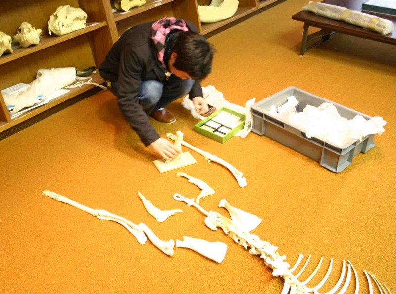 f:id:Naturalhistory:20120108161900j:image