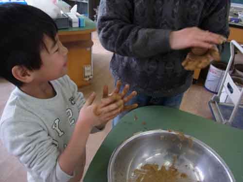 f:id:Naturalhistory:20120115105558j:image