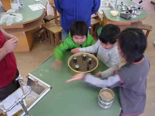 f:id:Naturalhistory:20120115140405j:image