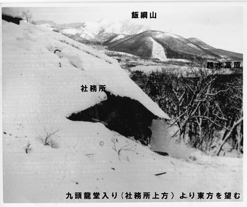 f:id:Naturalhistory:20120201115248j:image