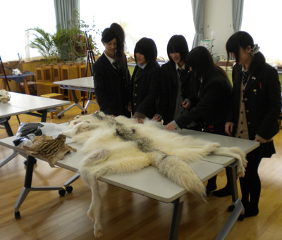 f:id:Naturalhistory:20120202094522j:image