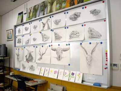 f:id:Naturalhistory:20120202094857j:image