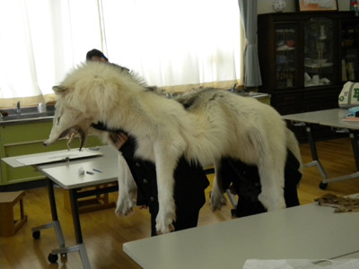 f:id:Naturalhistory:20120202095435j:image