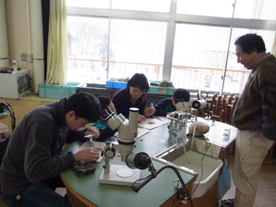 f:id:Naturalhistory:20120204132753j:image