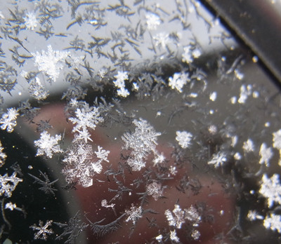 f:id:Naturalhistory:20120216081453j:image