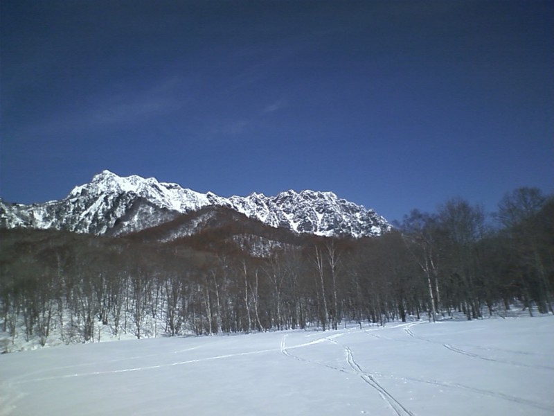 f:id:Naturalhistory:20120228173831j:image f:id:Naturalhistory:20120228173831j:image