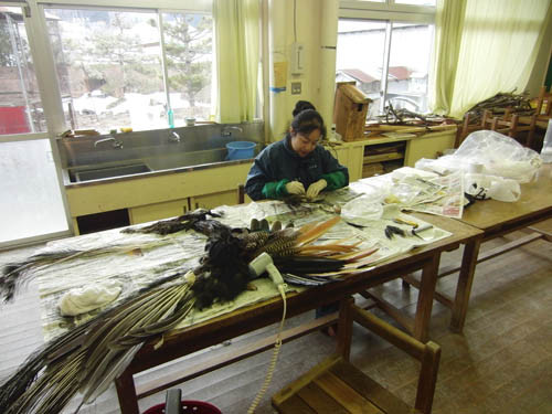 f:id:Naturalhistory:20120303155027j:image