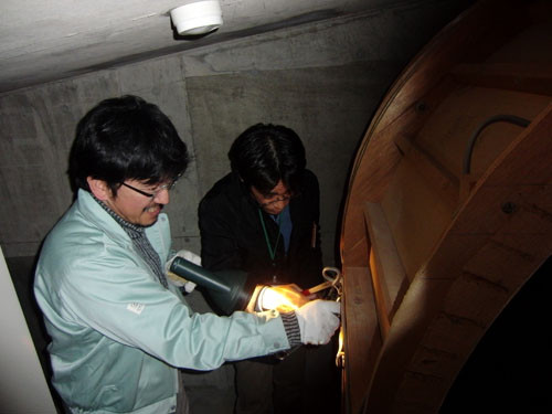 f:id:Naturalhistory:20120411100528j:image